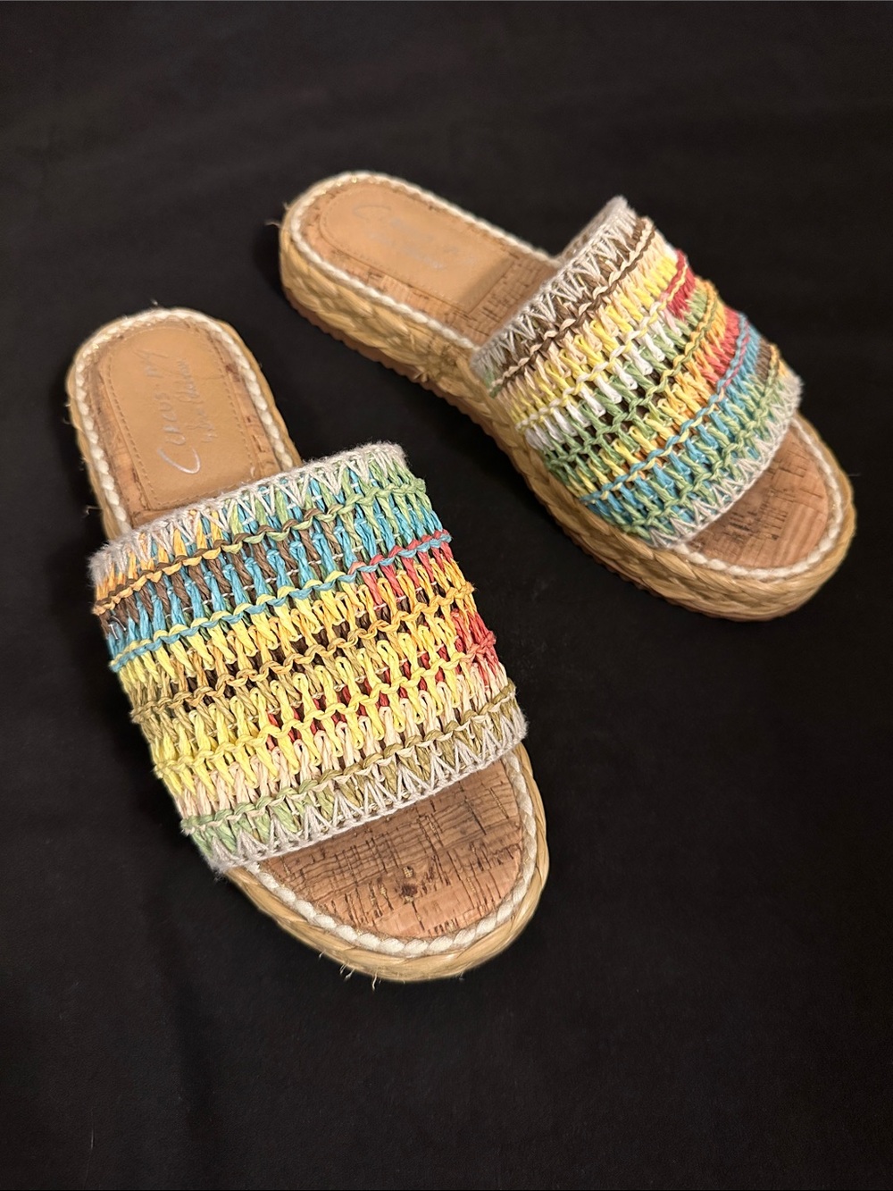 Circus by Sam Edelman Rainbow Woven Slide Mules